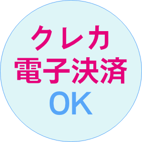 クレカ電子決済OK